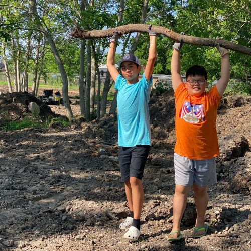 TPhuc TTuong tree branch